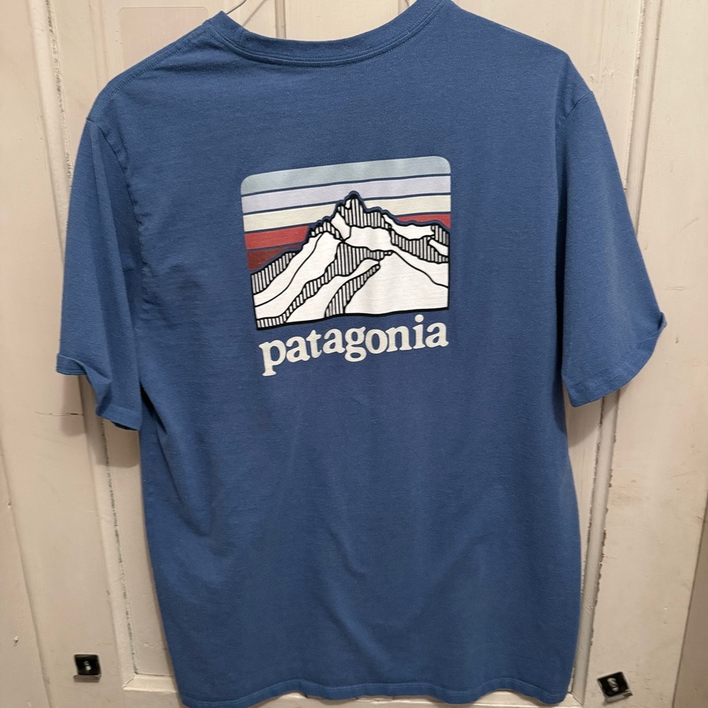 Patagonia Blue Graphic Men's Shirt